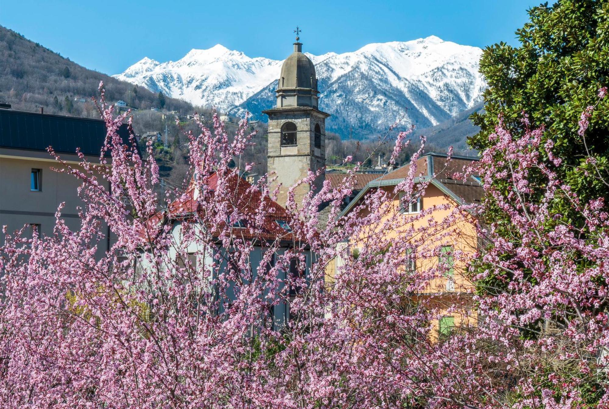 Appartamento Palazzo Pellanda Domodossola Esterno foto
